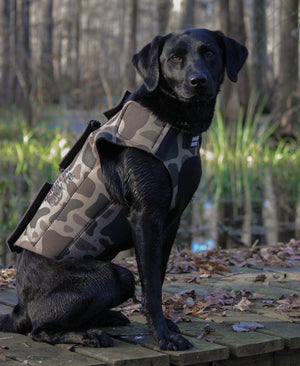 Adjustable Dog Vest