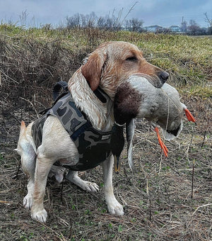 Adjustable Dog Vest