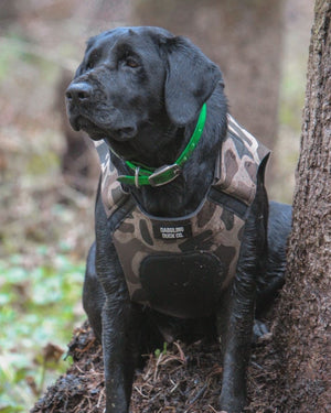 Adjustable Dog Vest