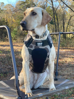 Adjustable Dog Vest