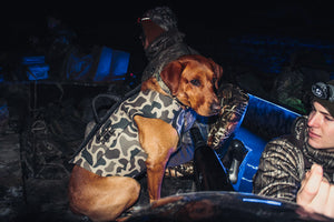 Adjustable Dog Vest