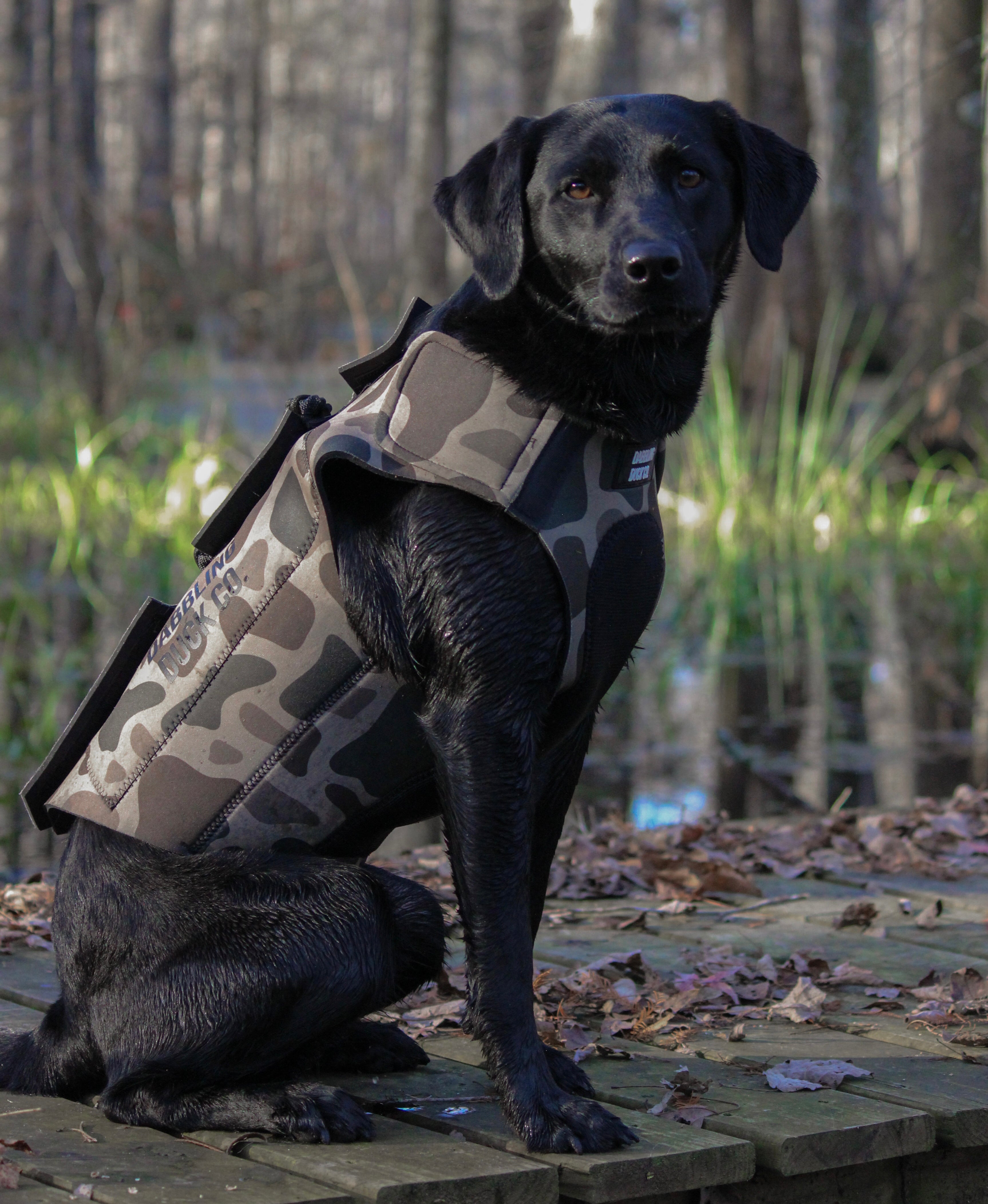 Tanglefree Duck Hunting Vest For Dogs Duck Hunting Dogs And Cold