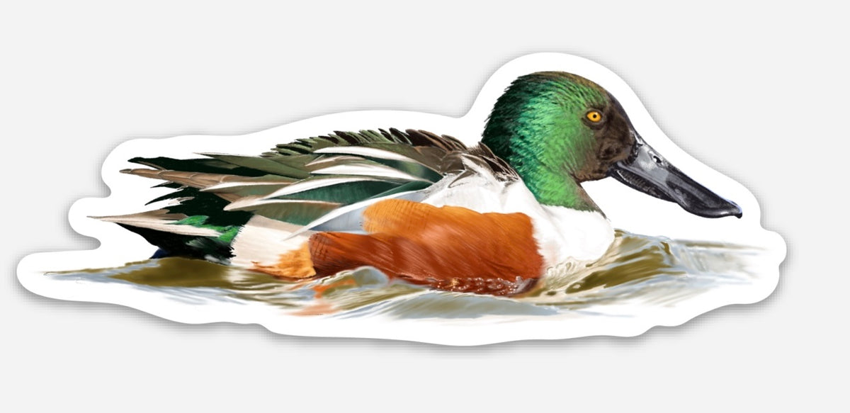 Spoonbill Decal