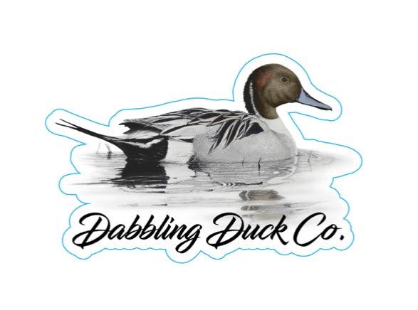 Pintail Decal